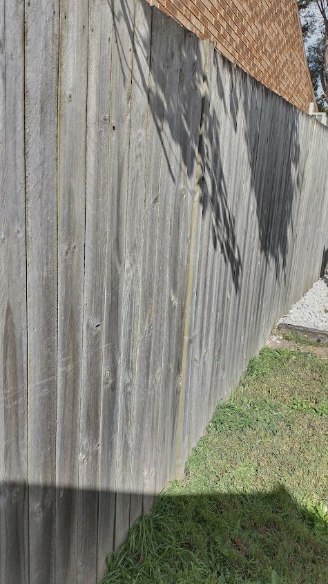 IMG_20250727_120734_HDR.jpg IMG_20250727_120734_HDR.jpg