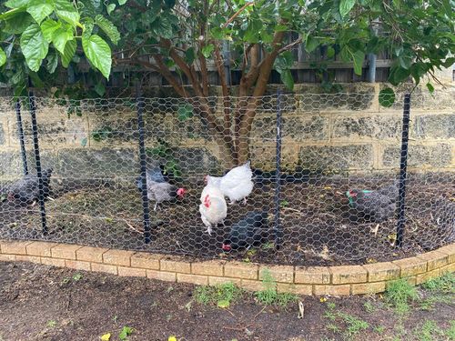 451DCDF5-8DB0-4C83-8738-28C0AAF6E62E.jpeg 451DCDF5-8DB0-4C83-8738-28C0AAF6E62E.jpeg