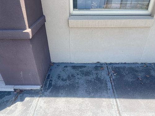 IMG_7253.jpeg IMG_7253.jpeg