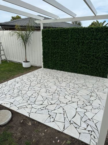 IMG_4255.jpeg IMG_4255.jpeg