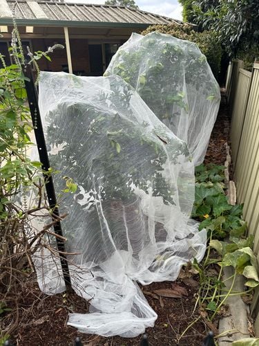 IMG_8628.jpeg IMG_8628.jpeg