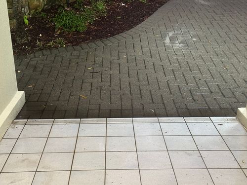 IMG_6464.jpeg IMG_6464.jpeg