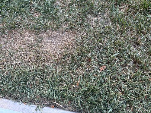 IMG_3952.jpeg IMG_3952.jpeg