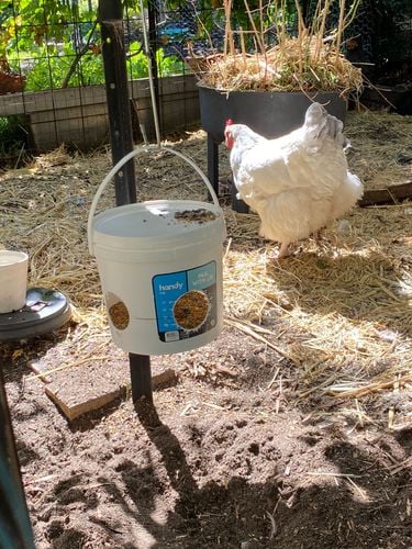 IMG_7597.jpeg IMG_7597.jpeg