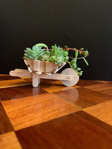 43063BCF-AEA8-47DA-A1DA-7FFE6723A03D.jpeg 43063BCF-AEA8-47DA-A1DA-7FFE6723A03D.jpeg