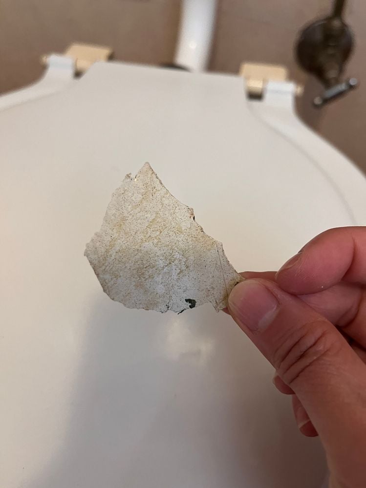 IMG_3562.jpeg IMG_3562.jpeg