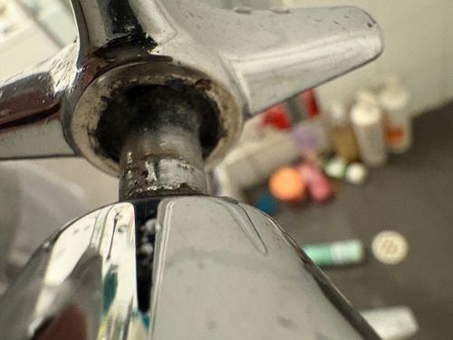 IMG_7255.jpeg IMG_7255.jpeg