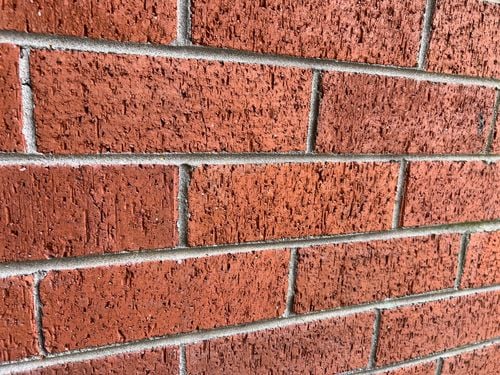 IMG_5126.jpeg IMG_5126.jpeg