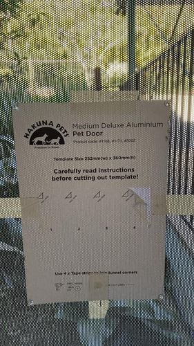 IMG_5372.jpeg IMG_5372.jpeg