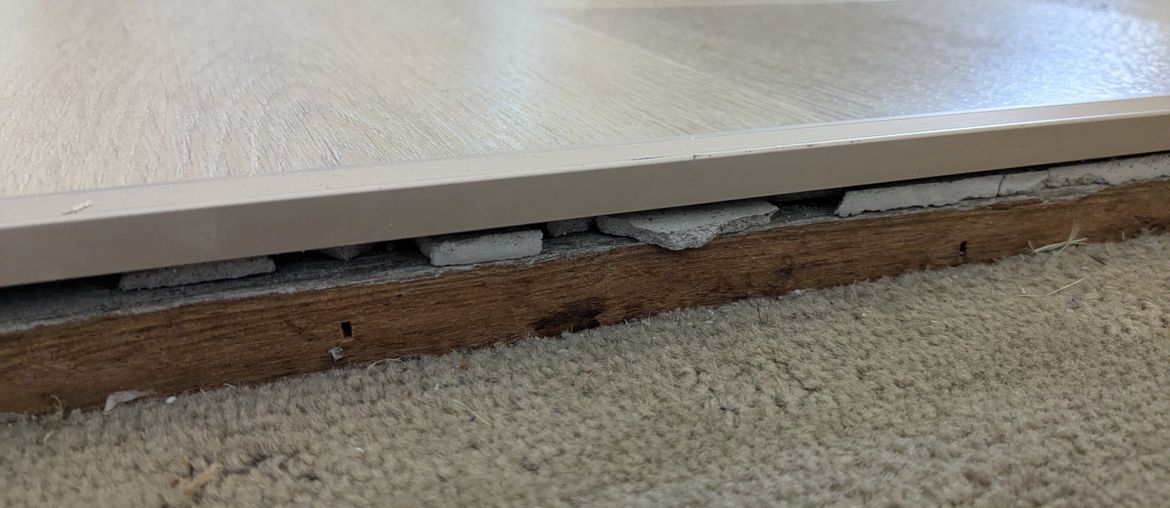 PXL_20250118_002744116.jpg PXL_20250118_002744116.jpg