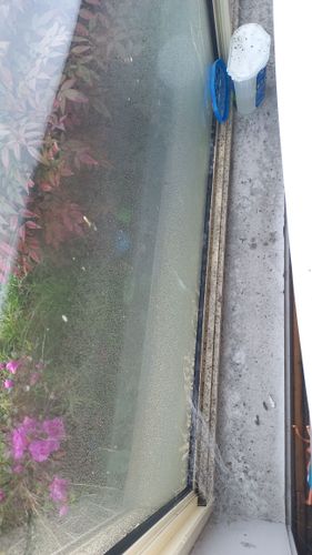 1000091111.jpg 1000091111.jpg