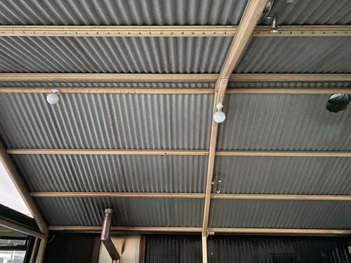 IMG_3659.jpeg IMG_3659.jpeg