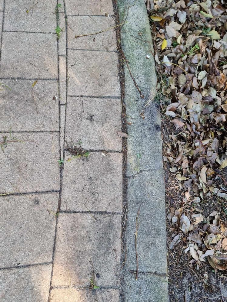 460928320_463852490136248_8782950551739778240_n.jpg 460928320_463852490136248_8782950551739778240_n.jpg