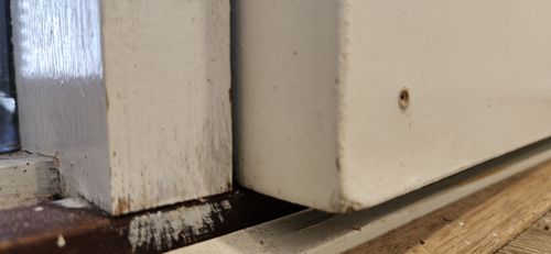 1000107536.jpg 1000107536.jpg