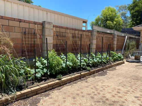 IMG_9747.jpeg IMG_9747.jpeg