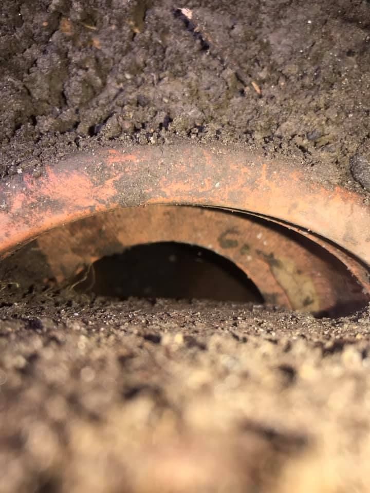 07 07-11-2020.jpg 07 07-11-2020.jpg