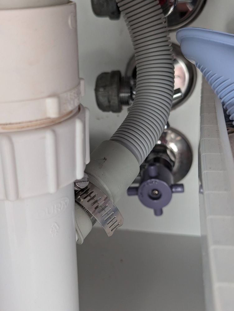 PXL_20241017_001750504.MP.jpg PXL_20241017_001750504.MP.jpg