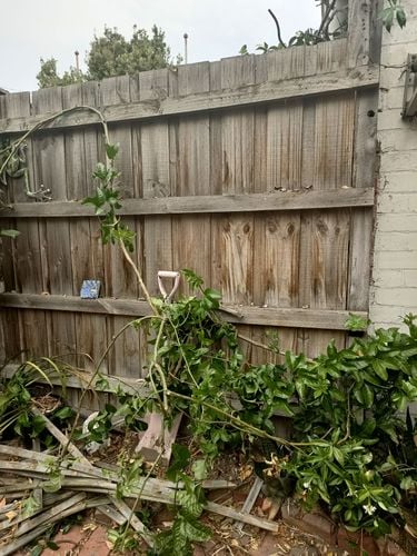 IMG20260131165924.jpg IMG20260131165924.jpg