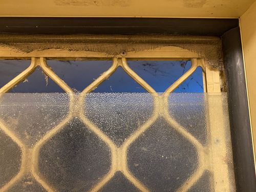 IMG_9025.jpeg IMG_9025.jpeg