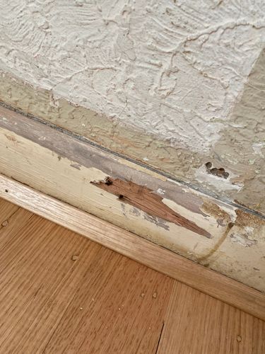 IMG_7878.jpeg IMG_7878.jpeg