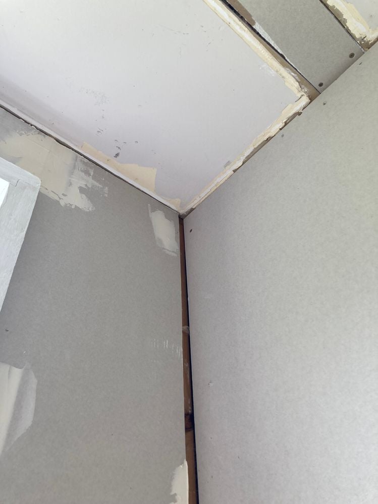 IMG_2594.jpeg IMG_2594.jpeg