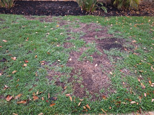 1000004170.jpg 1000004170.jpg