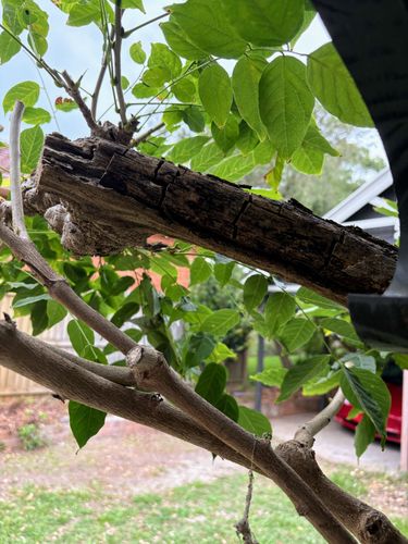 IMG_7390.jpeg IMG_7390.jpeg