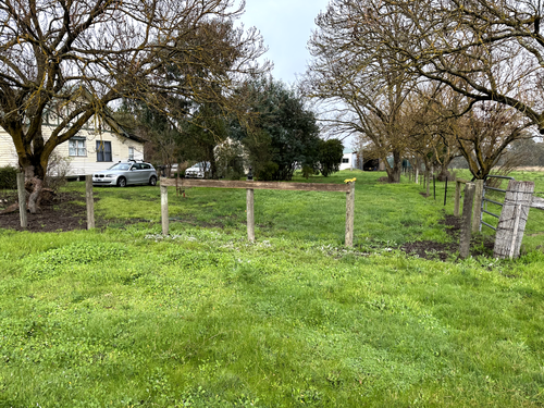 IMG_1863.png IMG_1863.png