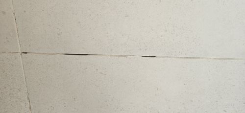 1000060461.jpg 1000060461.jpg