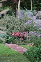 Garden.jpeg Garden.jpeg