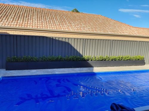 20220102_081141.jpg 20220102_081141.jpg