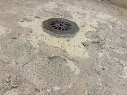 IMG_1945.jpeg IMG_1945.jpeg