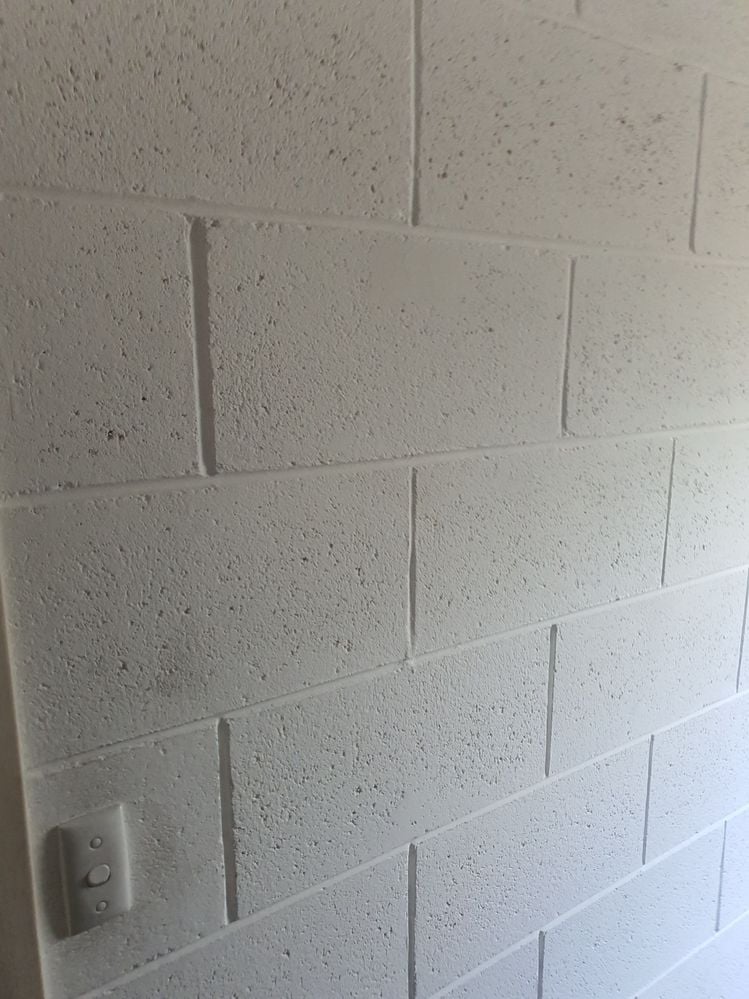 20221009_121811.jpg 20221009_121811.jpg