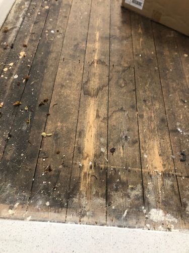 30EB9FB0-4047-4C69-BCEF-B6E235EA6182.jpeg 30EB9FB0-4047-4C69-BCEF-B6E235EA6182.jpeg