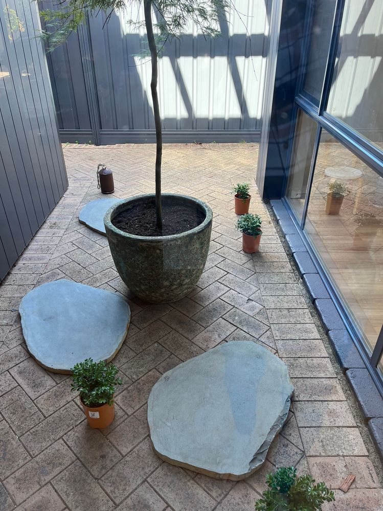 IMG_3971.jpeg IMG_3971.jpeg