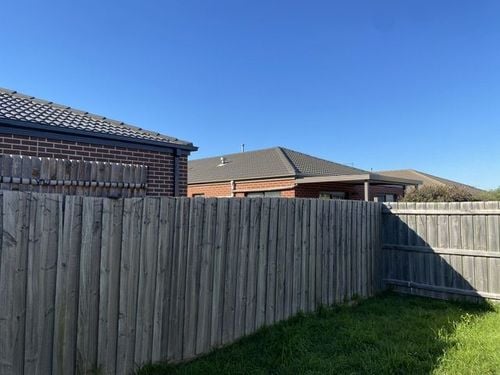 IMG_2024.jpeg IMG_2024.jpeg