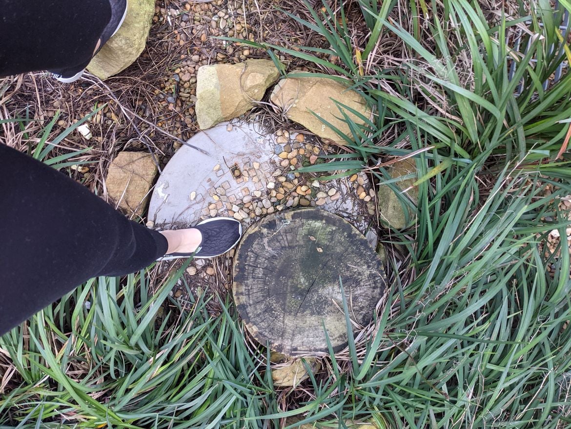 PXL_20210703_054738329.jpg PXL_20210703_054738329.jpg