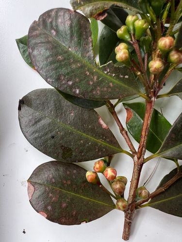 IMG_8049.jpeg IMG_8049.jpeg