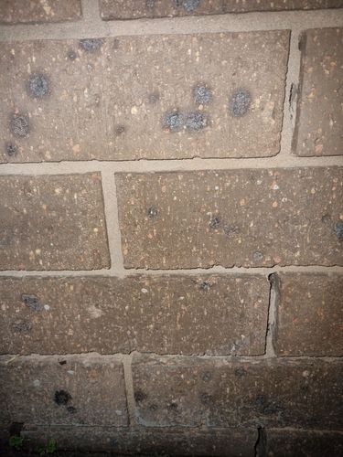 1000049630.jpg 1000049630.jpg