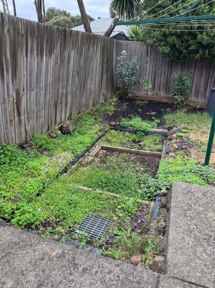 WhatsApp Image 2025-07-08 at 11.22.03 (1).jpeg WhatsApp Image 2025-07-08 at 11.22.03 (1).jpeg