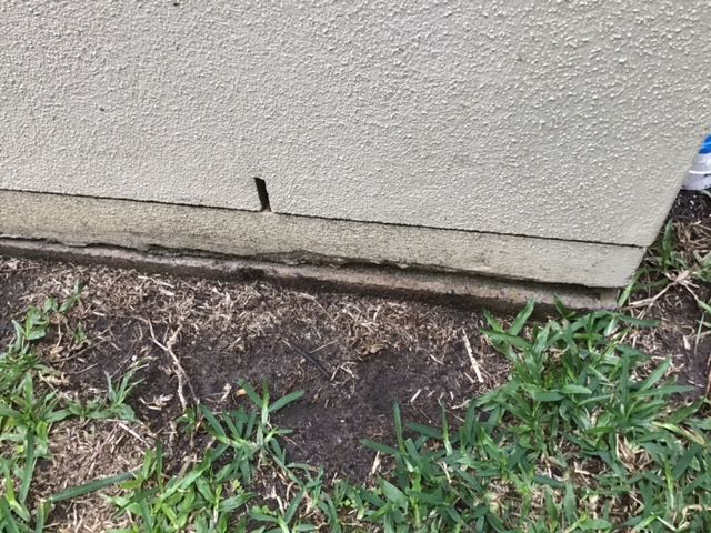 IMG_5944.jpg IMG_5944.jpg