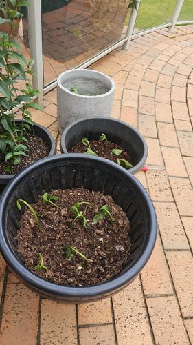 1000030628.jpg 1000030628.jpg