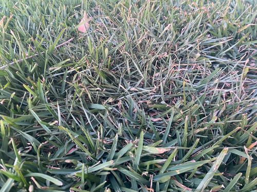 IMG_0420.jpeg IMG_0420.jpeg