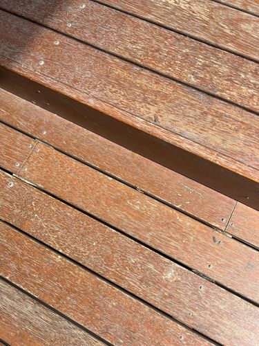 IMG_4426.jpeg IMG_4426.jpeg