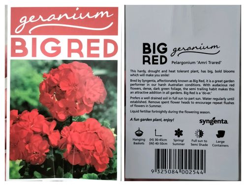 IMG_20250222_171353.jpg IMG_20250222_171353.jpg