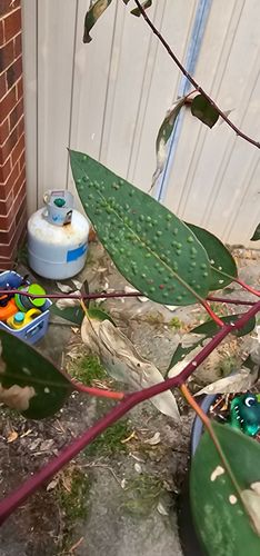 17311317336626004894318389986015.jpg 17311317336626004894318389986015.jpg