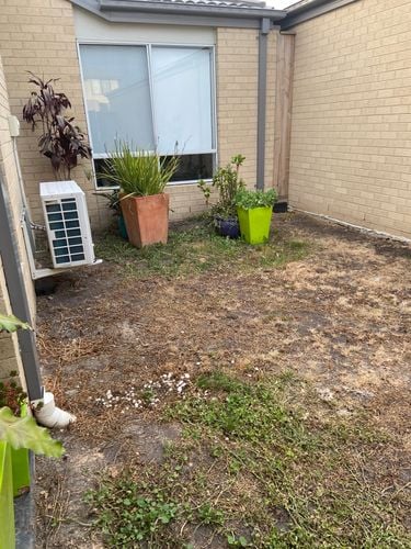 0336FB8F-D51D-41F9-A339-EAFECF0263B7.jpeg 0336FB8F-D51D-41F9-A339-EAFECF0263B7.jpeg