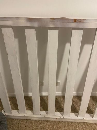 IMG_5603.jpeg IMG_5603.jpeg