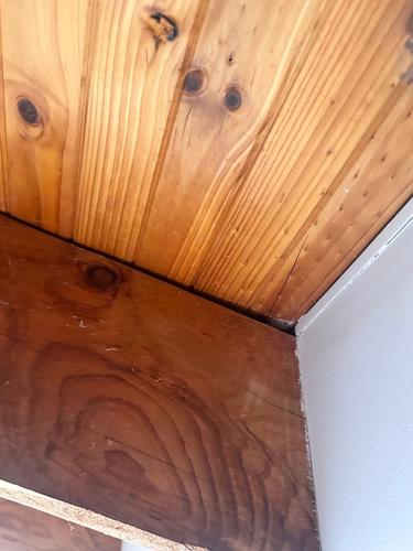 IMG_5997.jpeg IMG_5997.jpeg