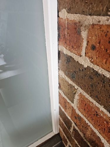 1000117905.jpg 1000117905.jpg